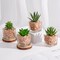 Set of 4 Mini Artificial Succulent Plants in Cube Glass Pots – Small Fake Potted Succulents for Bathroom, Kitchen, Living Room, Shelf, Desk & Home Decor